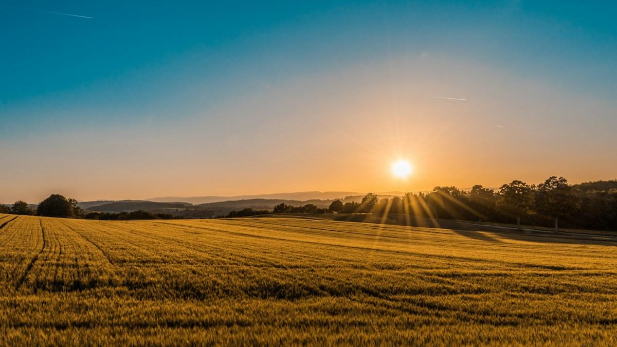 Paisaje rural al atardecer